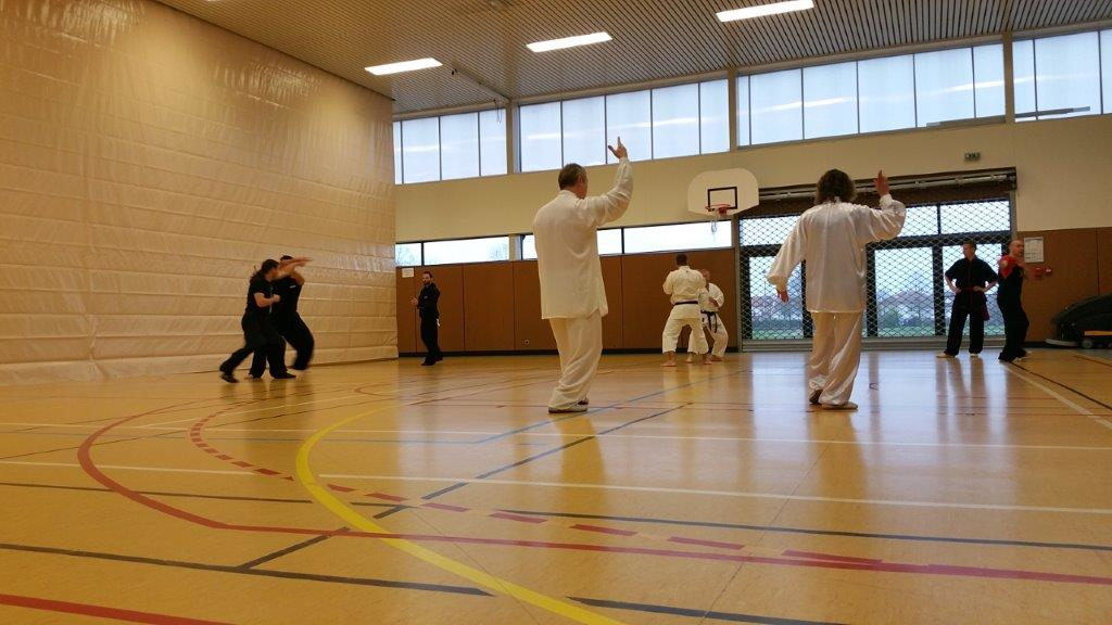 hunggarnancy-artsmartiaux-wushu-kungfu-passageduan(2)