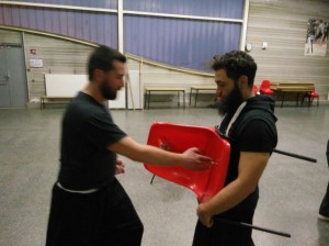 hunggarnancy-artsmartiaux-wushu-kungfu-nouvelanchinois-vocotruyen-3février2017-12