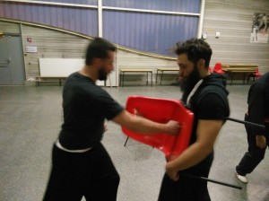 hunggarnancy-artsmartiaux-wushu-kungfu-nouvelanchinois-vocotruyen-3février2017-13