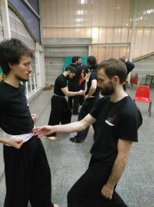 hunggarnancy-artsmartiaux-wushu-kungfu-nouvelanchinois-vocotruyen-3février2017-17