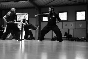 hunggarnancy-artsmartiaux-wushu-kungfu-stage-muyfakune020