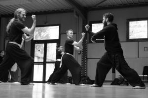 hunggarnancy-artsmartiaux-wushu-kungfu-stage-muyfakune021