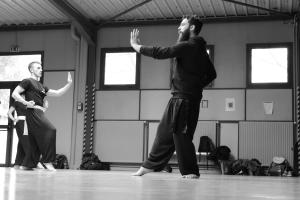 hunggarnancy-artsmartiaux-wushu-kungfu-stage-muyfakune022