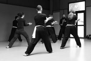 hunggarnancy-artsmartiaux-wushu-kungfu-stage-muyfakune029