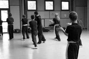 hunggarnancy-artsmartiaux-wushu-kungfu-stage-muyfakune031