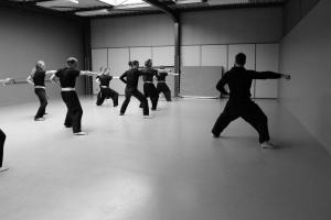 hunggarnancy-artsmartiaux-wushu-kungfu-stage-muyfakune034