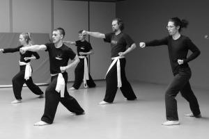 hunggarnancy-artsmartiaux-wushu-kungfu-stage-muyfakune040